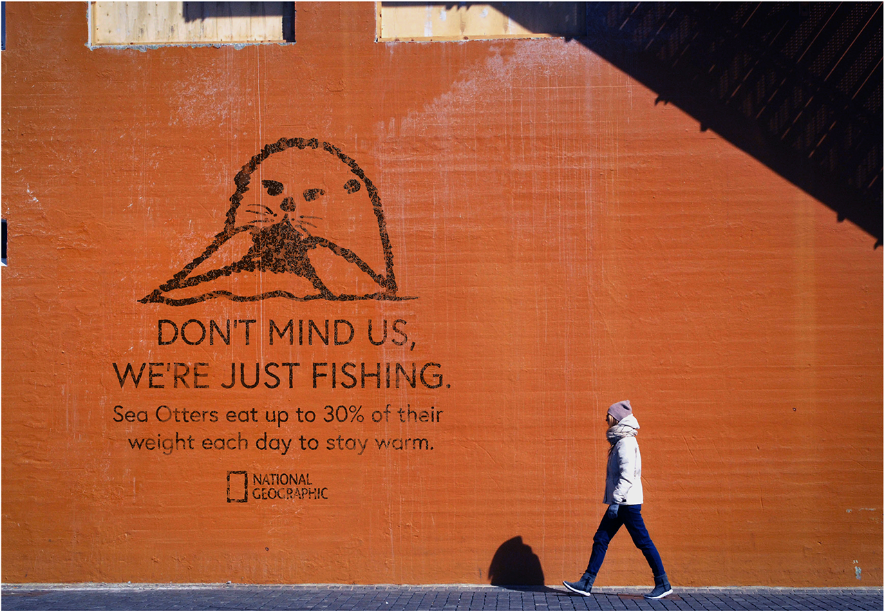 The Line, “don't Mind Us,” Is The Essence Of This Campaign - Logo (1400x1050), Png Download