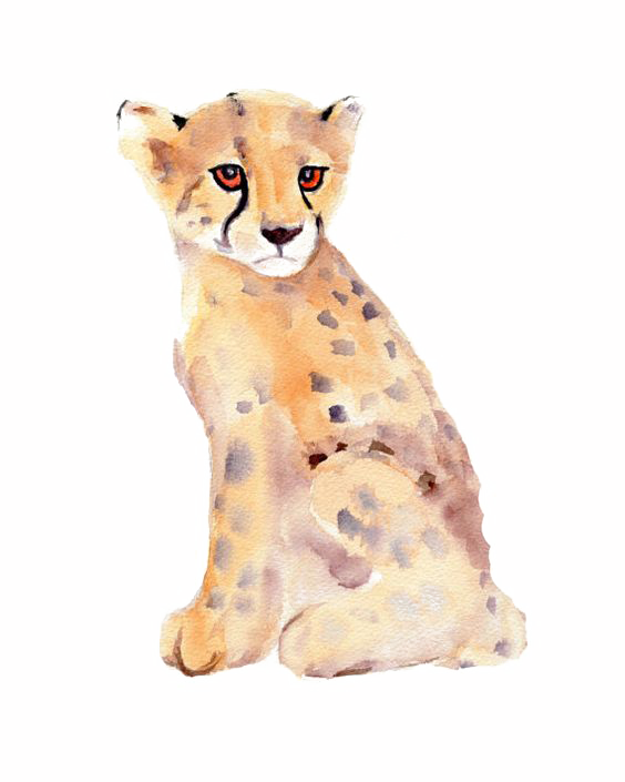 Watercolor Painting Print Baby Cheetah (564x705), Png Download