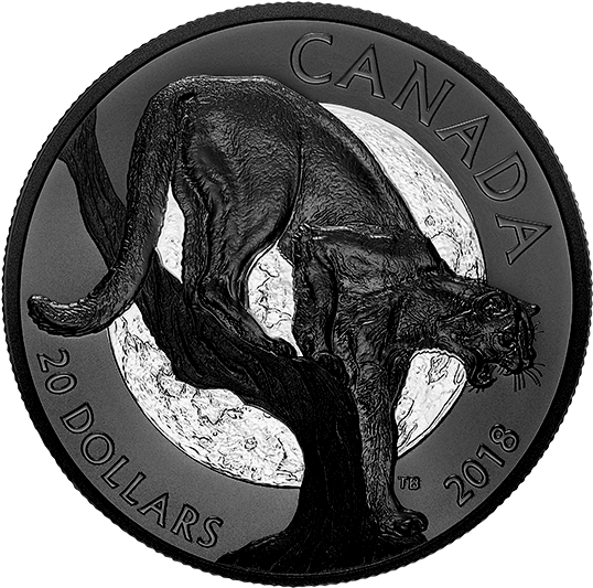 167127 Rev-570 - Silver (570x570), Png Download