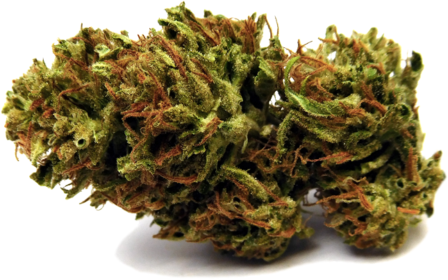 Amnesia Lemon-no Bg - Cbd Blüten Tee (1000x725), Png Download