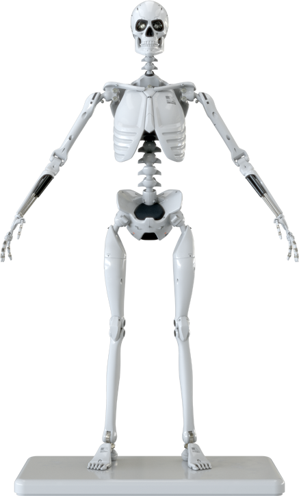 Figure Image - Molecule8 Mark 1 Endoskeleton (437x724), Png Download
