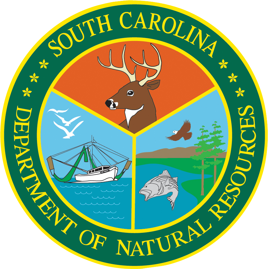 South Carolina Sharks For Ecotour Guides - South Carolina Department Of Natural Resources (902x1184), Png Download