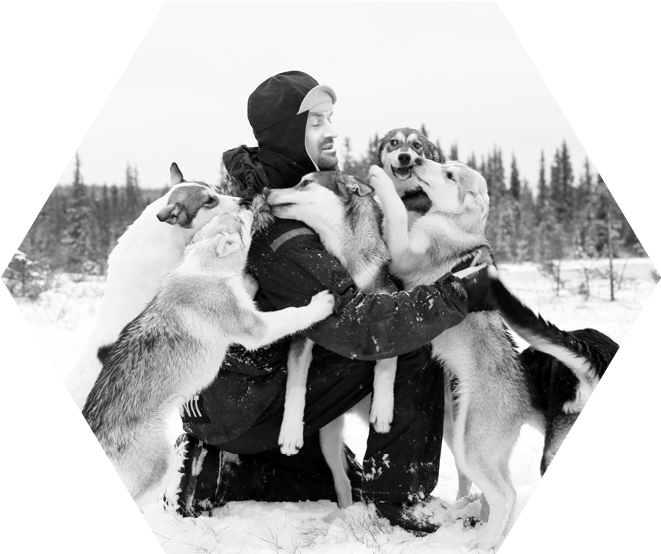 Contact Team Qrill Pet - Greenland Dog (714x655), Png Download