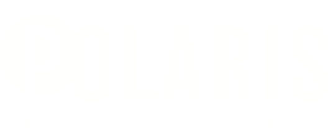 Polaris Insurance Solutions - Graphic Design (1056x412), Png Download