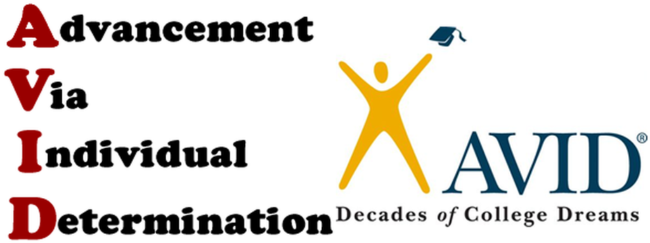 Picture - Avid Program (943x393), Png Download