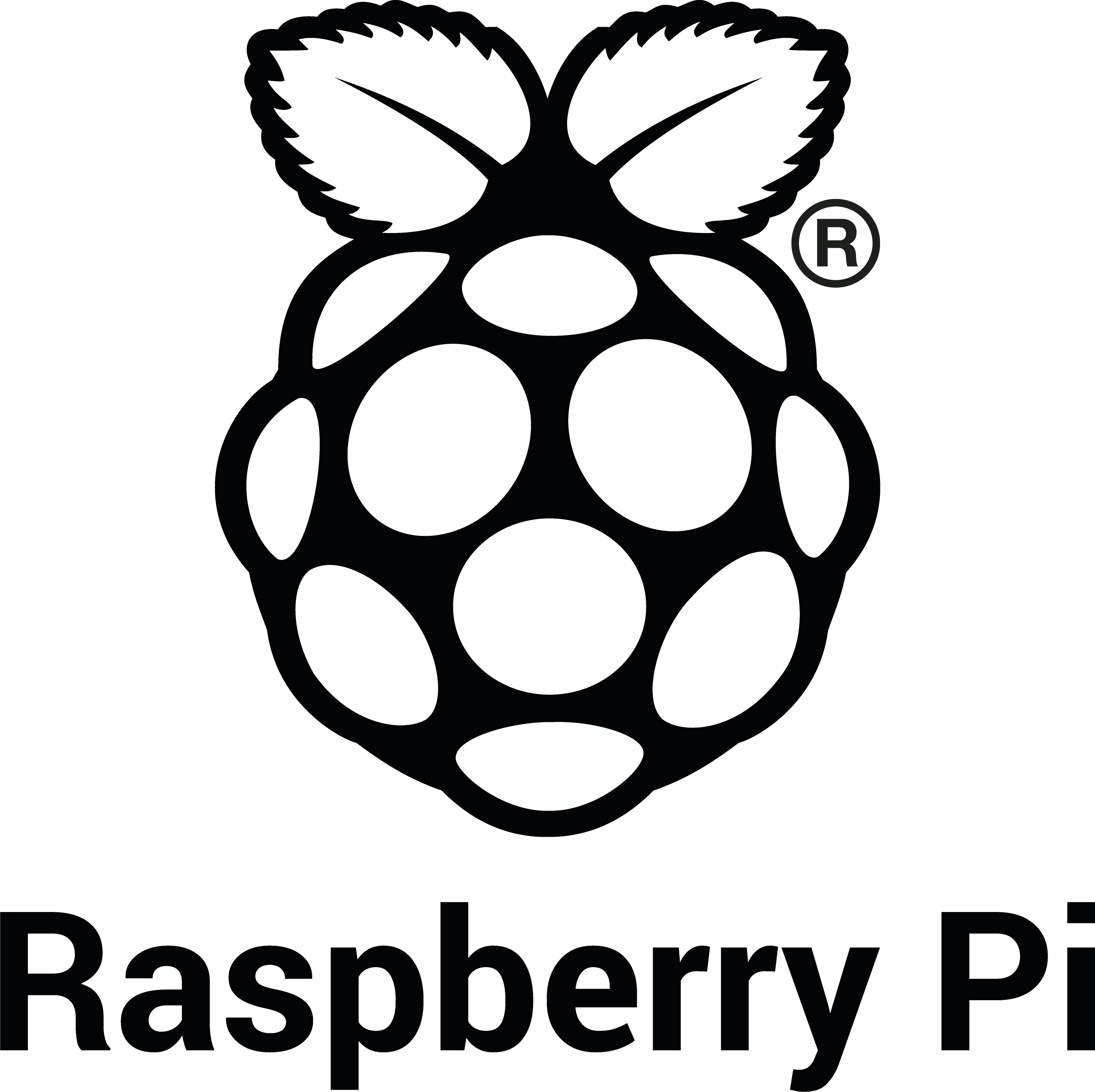 Raspberry Pi Logo Icon