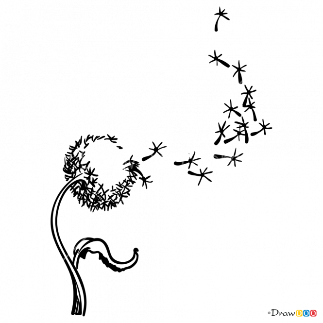 665 X 665 4 - Draw Dandelion (665x665), Png Download