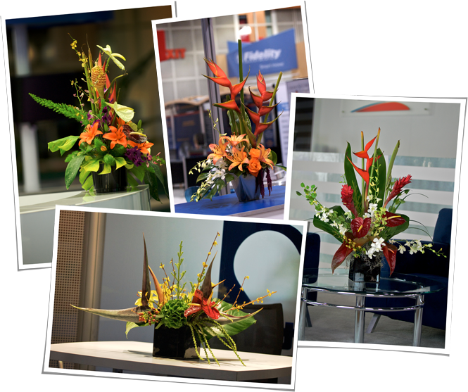 Welcome - Bouquet (665x557), Png Download