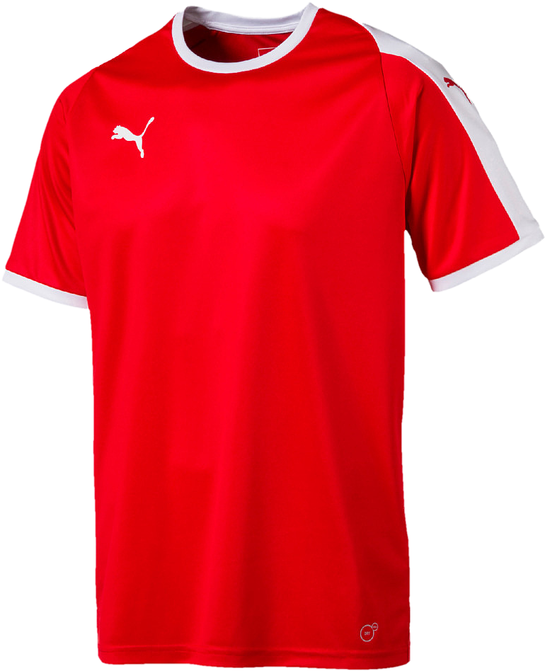Puma Liga Jersey - Puma Borussia Soccer Jersey (999x999), Png Download