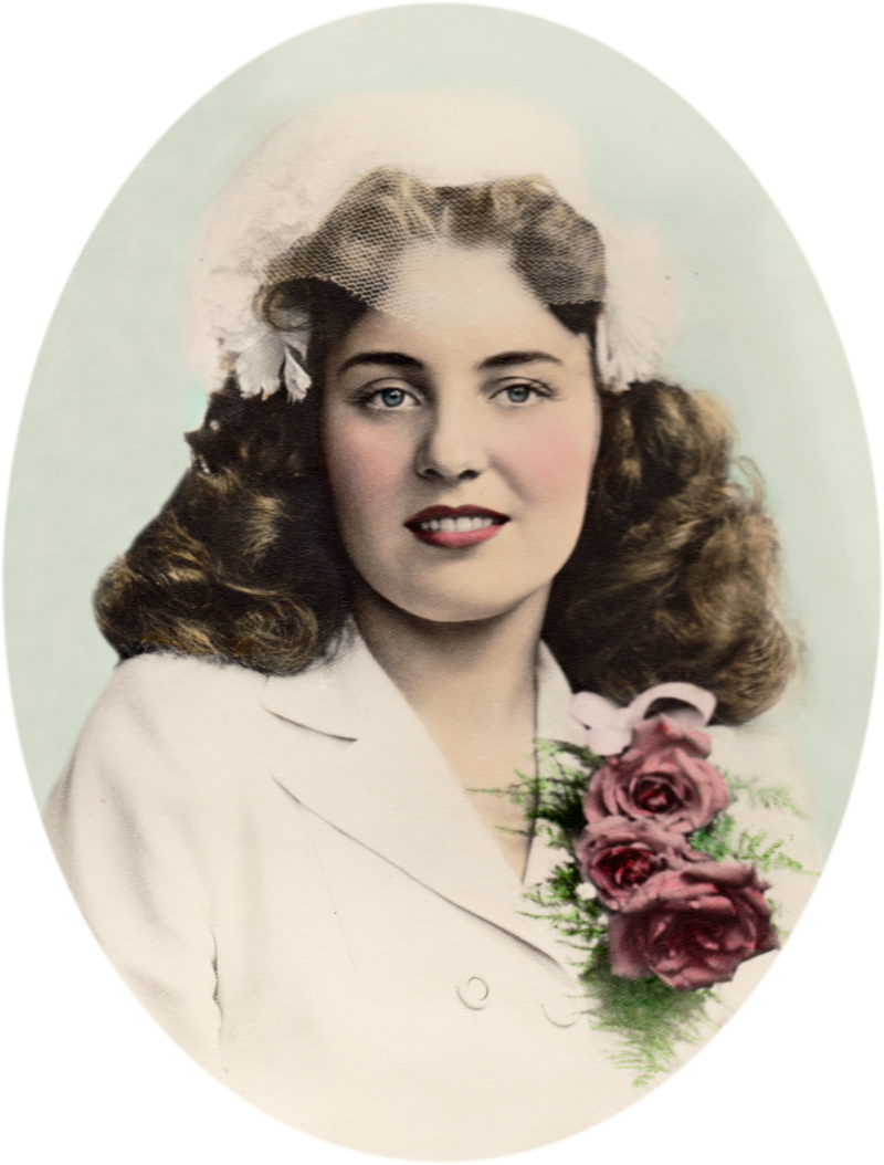 Garden Roses (800x1054), Png Download