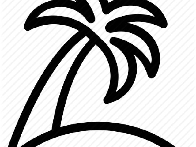 Drawn Beach Coconut Tree - Palm Tree Icon Transparent (640x480), Png Download