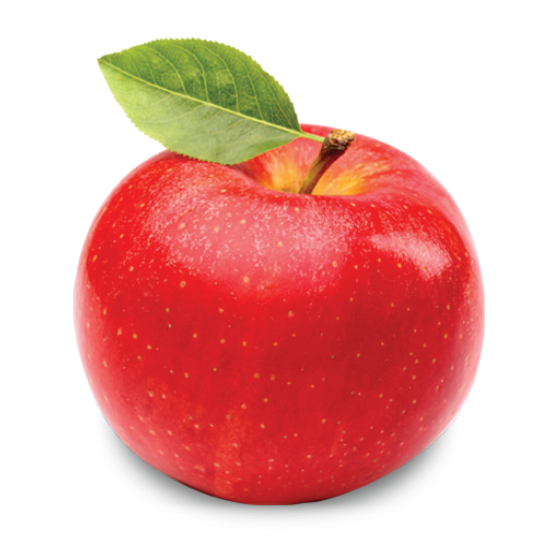 Apple - Single Fruits And Vegetables (549x549), Png Download