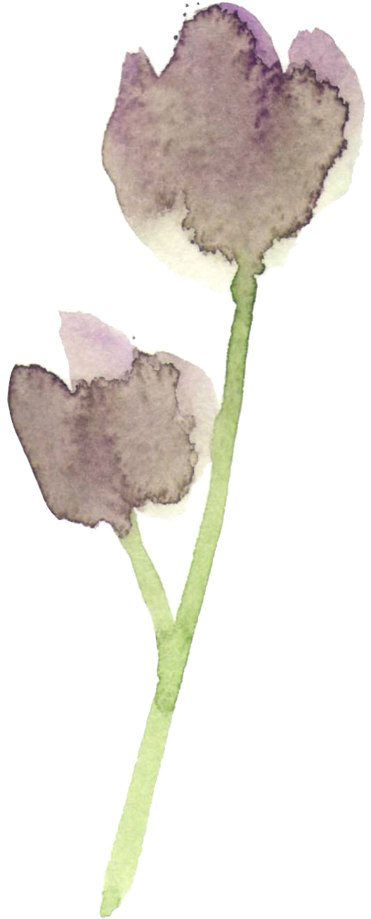 Every Time I Read An Article Anything Relating To A - Snow Crocus (528x1306), Png Download