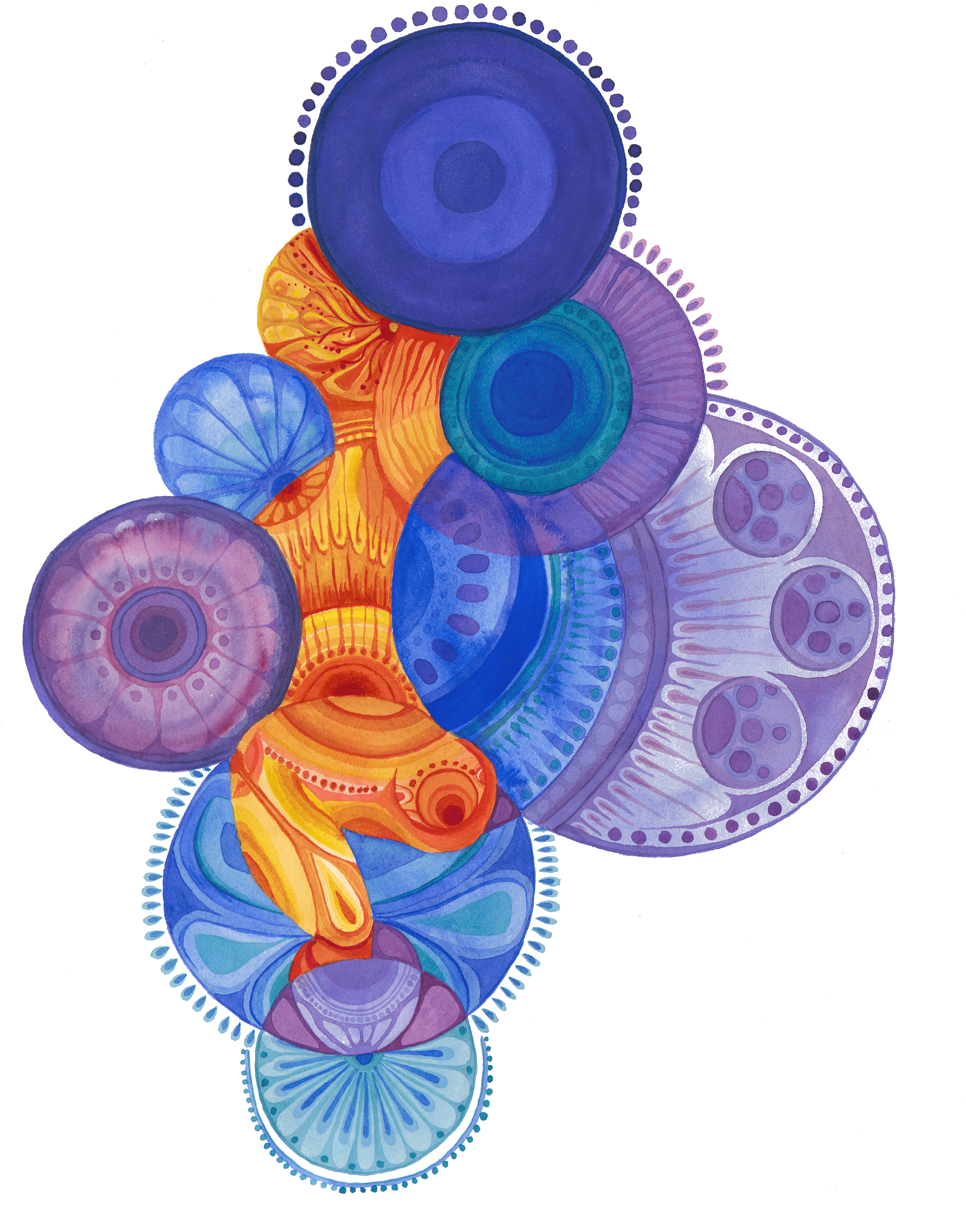 Overhead Squat Copyright Marika Reinke (5447x7200), Png Download