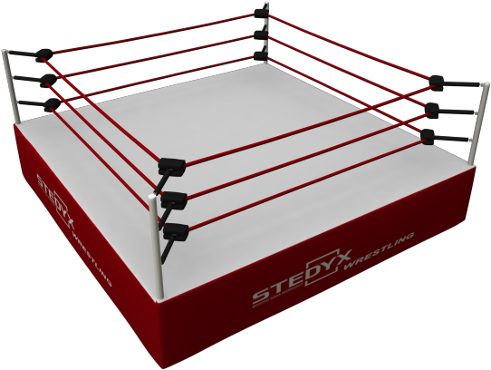 Wrestling Cage Png - Pro Wrestling Ring Png (600x480), Png Download