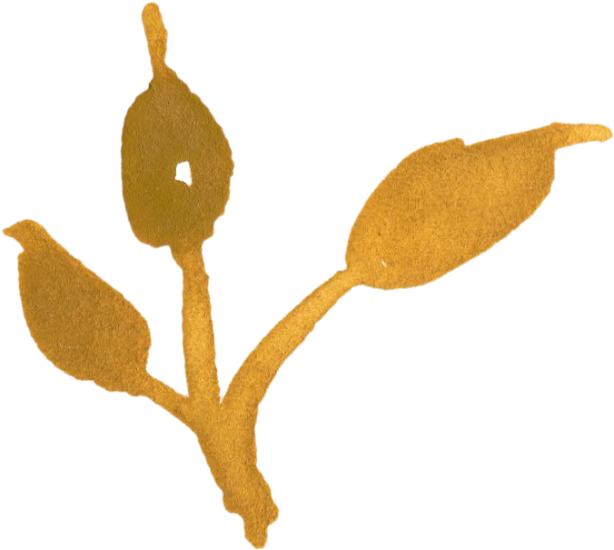 Watercolour - Illustration (767x686), Png Download