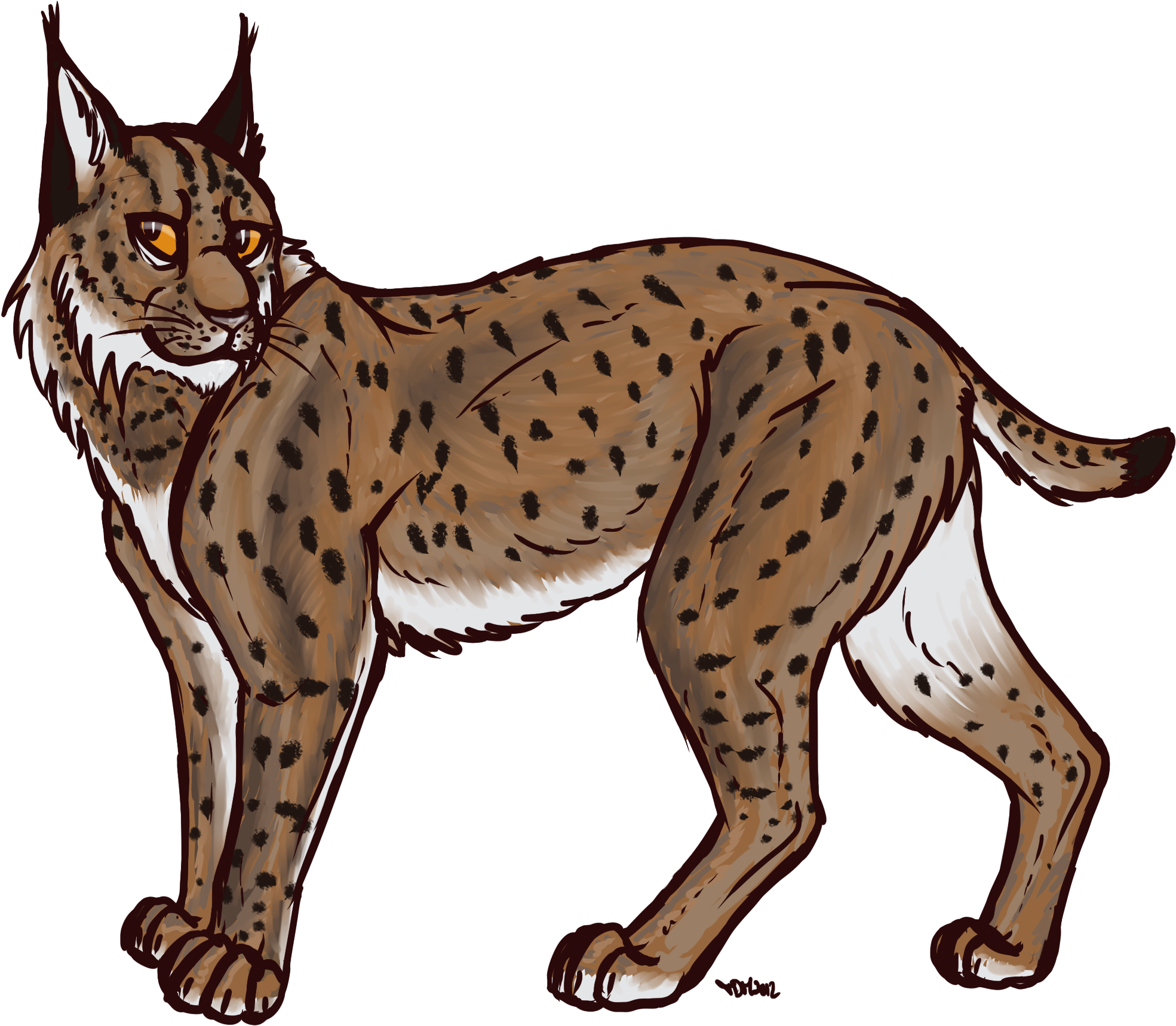 Lynx Transparent - Canadian Lynx Clipart (2400x1800), Png Download