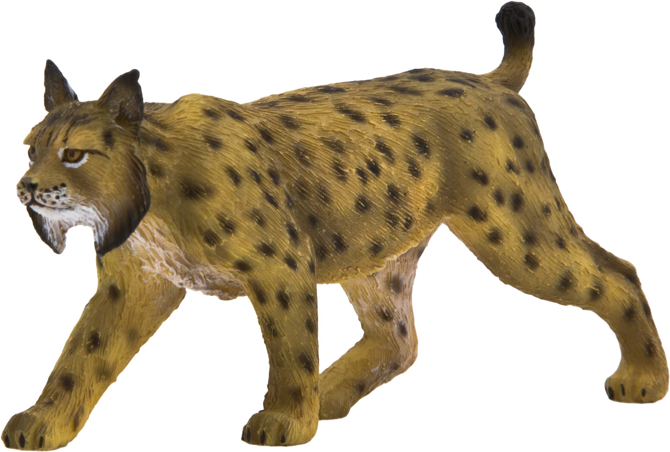 Animal Planet Iberian Lynx (2555x1704), Png Download