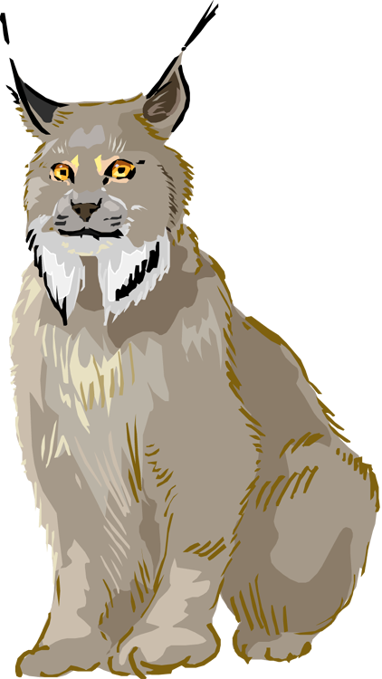 Free Lynx Clipart - Lynx Clipart (422x750), Png Download