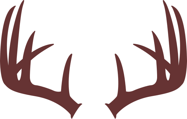 Drawing Of Deer Antlers (600x382), Png Download