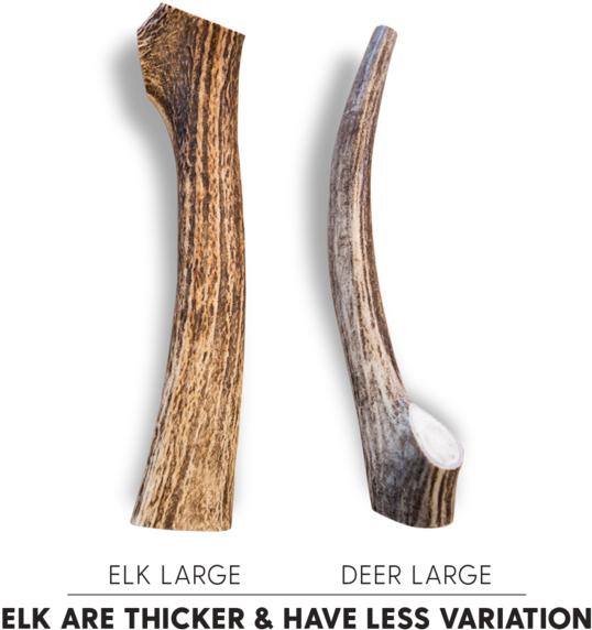 Most Dogs Love Both Types Of Antler Equally - Types Of Dog Antlers (600x600), Png Download