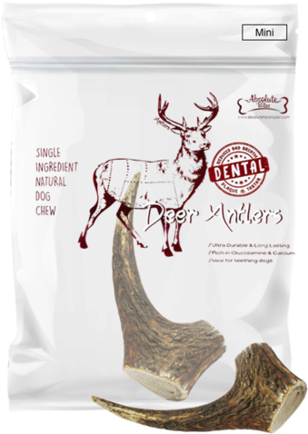 Absolute Bites Whole Deer Antler Dental Dog Chew - Dog (386x522), Png Download