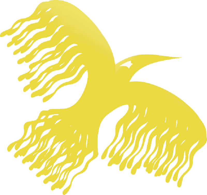 Mb Image/png - Bird (800x755), Png Download