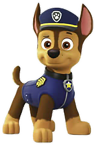 Picsart Photo Studio (636x634), Png Download