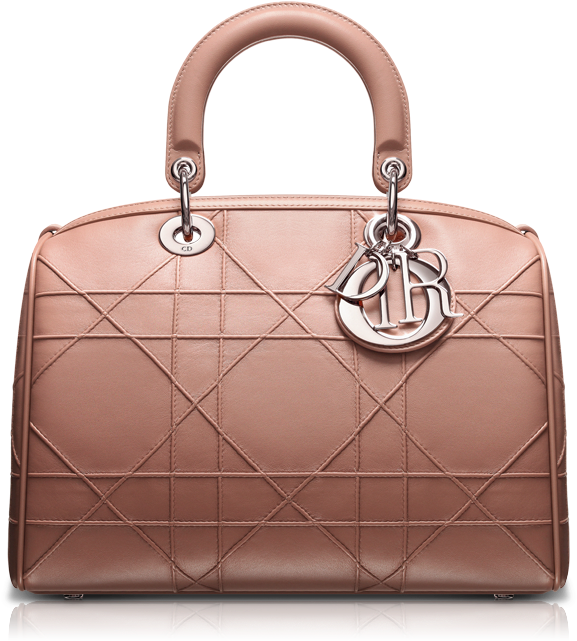 Before Pre-fall - Christian Dior Bag Png (600x660), Png Download