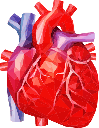 Congenitial Heart Failure - Human Heart Magazine (338x437), Png Download