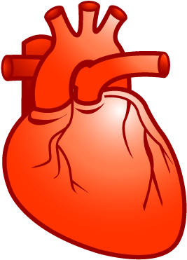 Real Heart Heart Cardiology Plastic Xp Icon Gallery - Real Heart Vector Png (400x400), Png Download