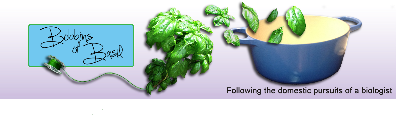 Bobbins Of Basil - Vegasbows1 Blavk Tie Bow (1600x742), Png Download