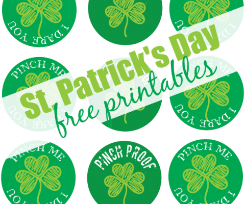 St Patricks Day Pin Tutorial - Rainmakers: A Photographic Story Of Center Pivots (480x400), Png Download