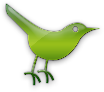 Twitter Bird Logo Png - Green Bird Icon (420x420), Png Download
