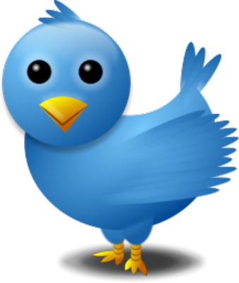 Twitter Bird Logo Psd - Twitter Search Png (338x400), Png Download