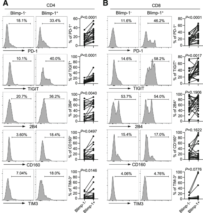 Expression Of Blimp 1 Correlates With The Upregulation - Tigit (850x894), Png Download