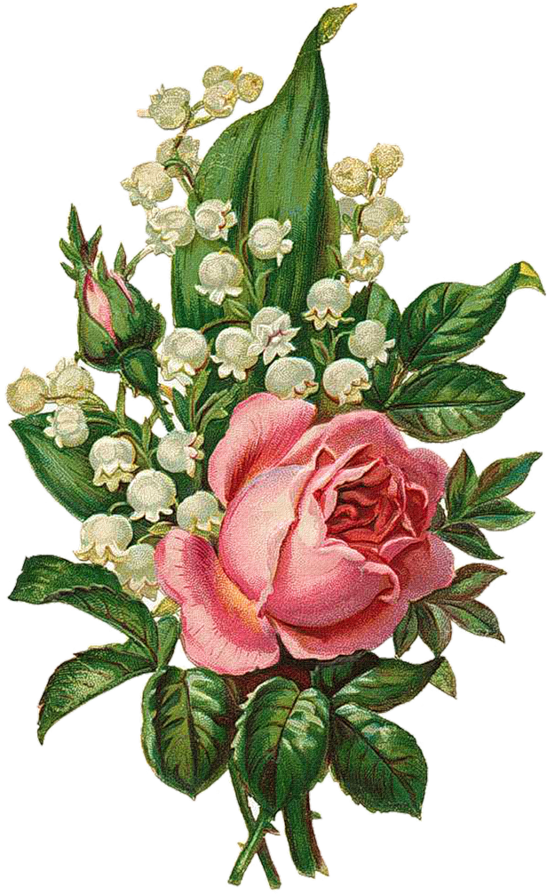 Clipart Free Download Png Vintage Roses Scrap And Decoupage - Roses Lily Of The Valley (654x1024), Png Download
