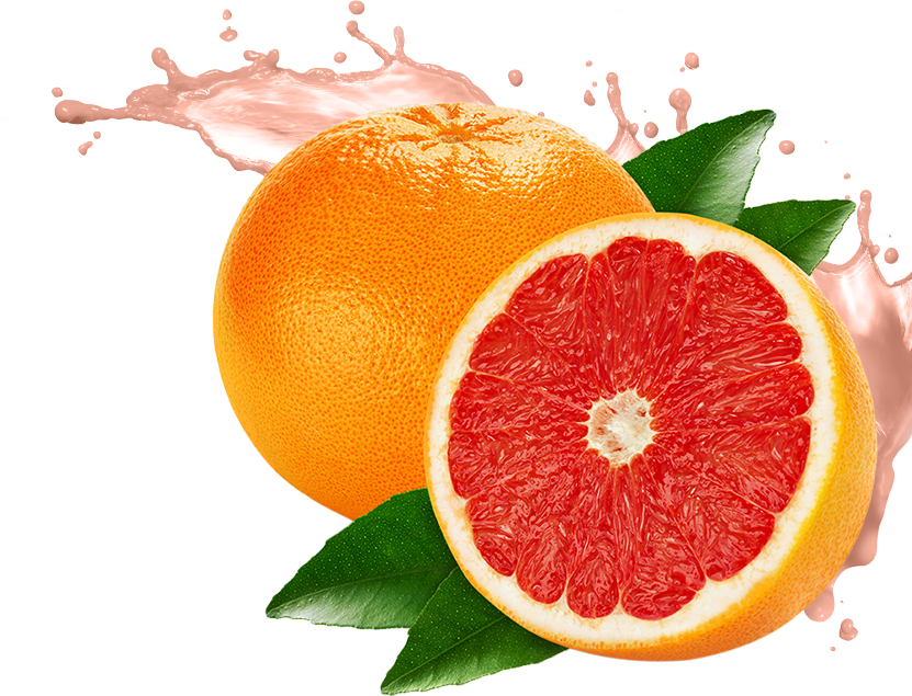 Grapefruit Png (831x635), Png Download