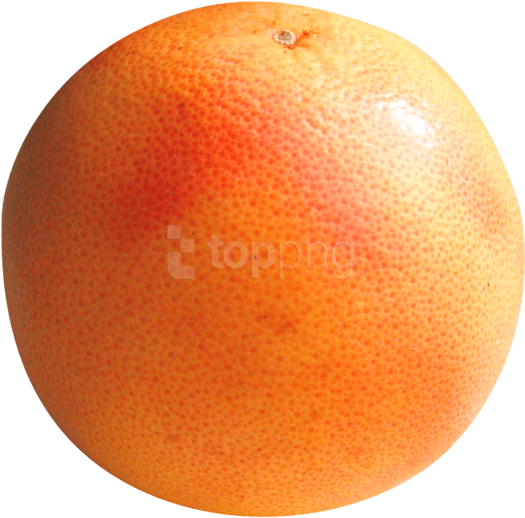 Download Grapefruit Png Image - Grapefruit Png (500x487), Png Download