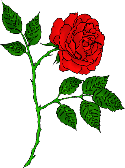 Rose Tattoo Images All - Red Rose Tattoo Transparent (433x604), Png Download