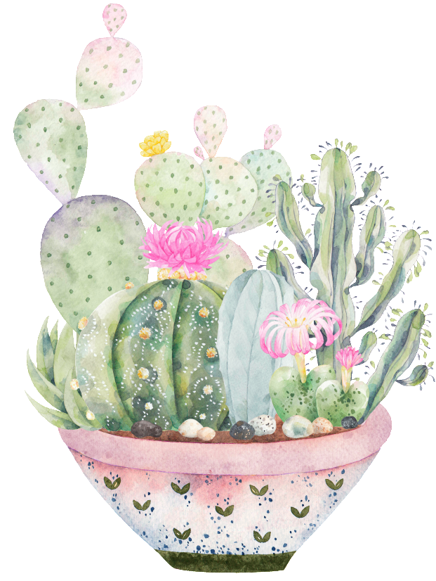 Hand-painted A Large Plate Of Plants Png Transparent - Succulent Business Card Designs Templates (650x863), Png Download