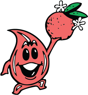 Grapefruit Peel - Lemon (360x360), Png Download