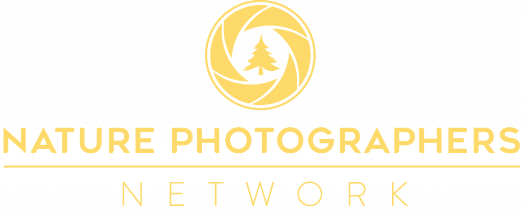 Npn Large Logo1200 - Emblem (1024x428), Png Download