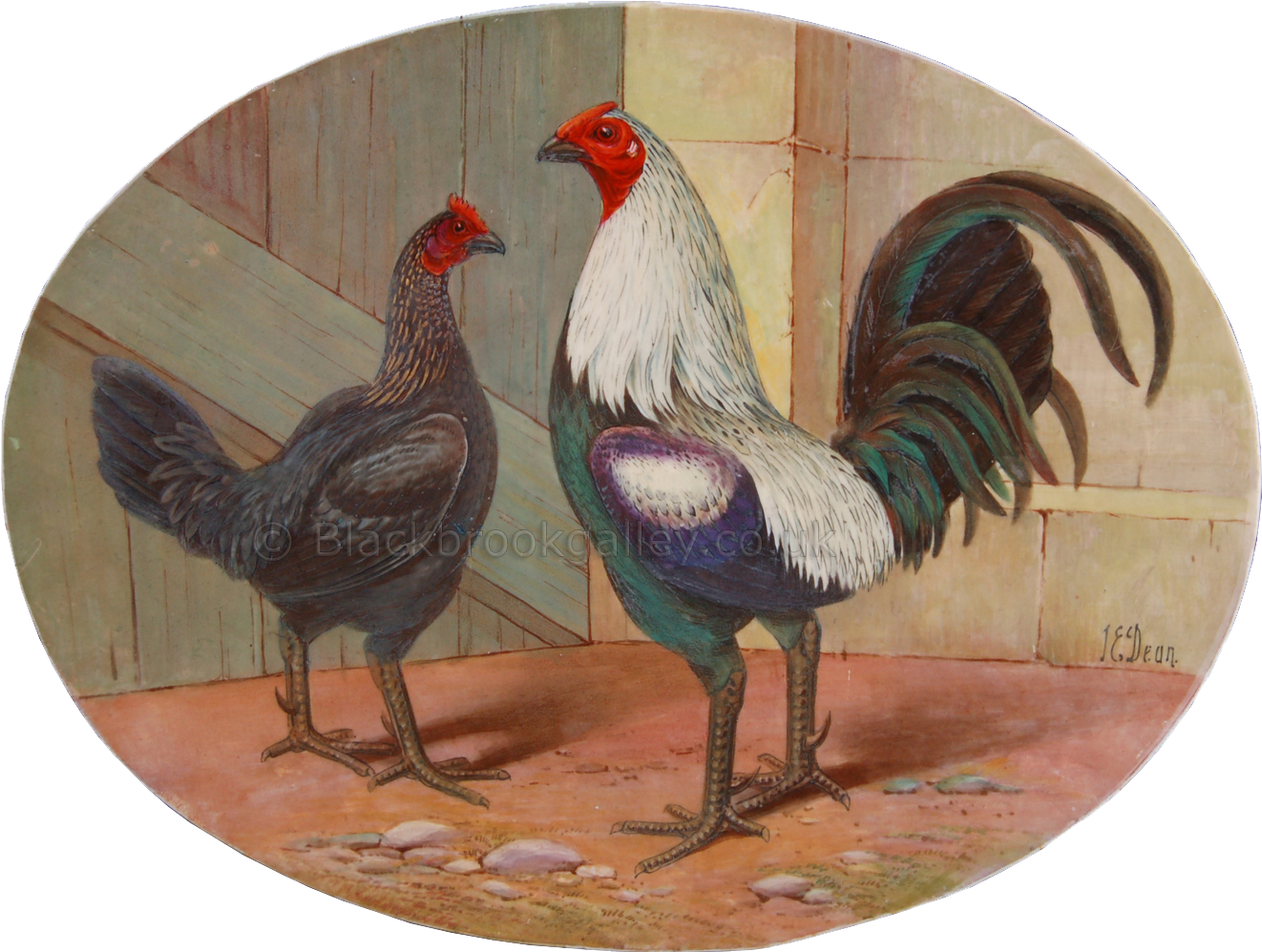 Rooster (1500x997), Png Download