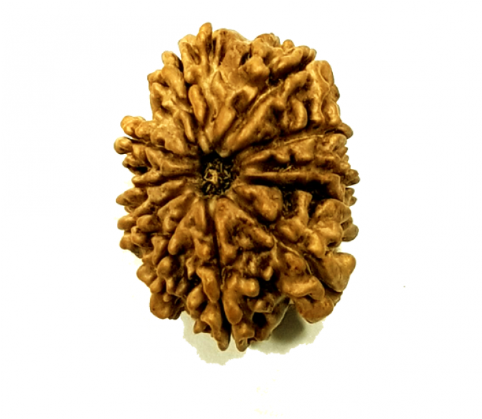 11 Mukhi Nepali (lord Hanumanji) - Food (700x850), Png Download