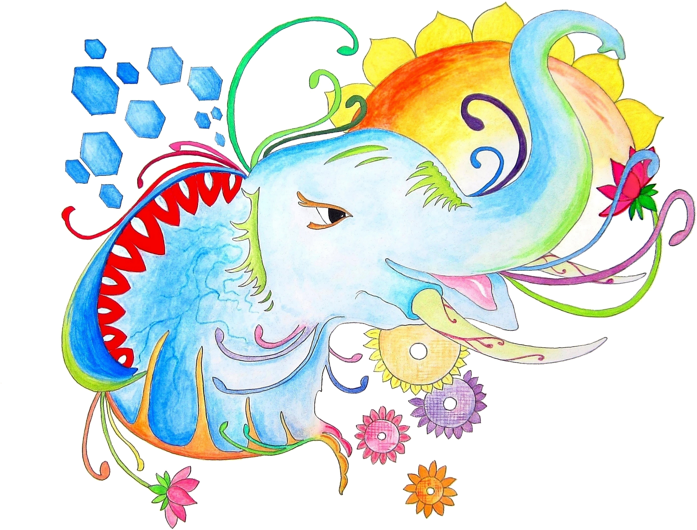 Banner Free Elephant Illustration Set Wall Of Wonders - Peacock Drawing Pencil Easy (1580x1142), Png Download