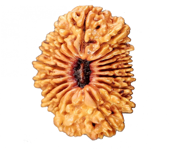 Pastry (700x850), Png Download