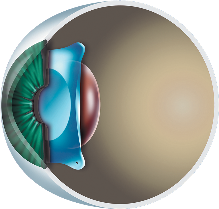 Atatürk Ile Ilgili Resimler (800x800), Png Download