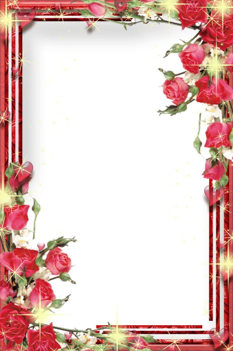 Frames Picture Frame Word Microsoft Free Hd Image - Photoshop Frame Png Format (800x1201), Png Download