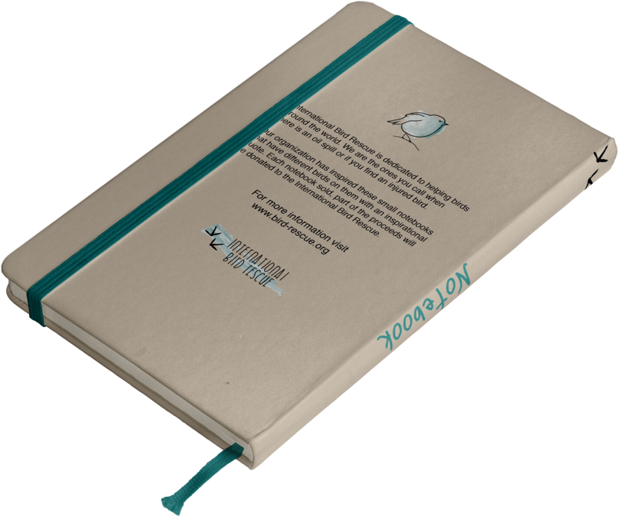 Backofbook2 (1000x1000), Png Download